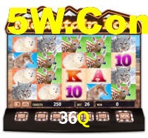 Tournament Betting